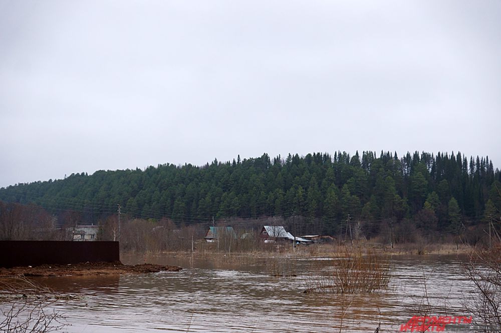 «Проснулся, а у меня на огороде картошка из запасников плавает. Ладно, повезло. У соседа собака утонула в тот день», – рассказывает он.