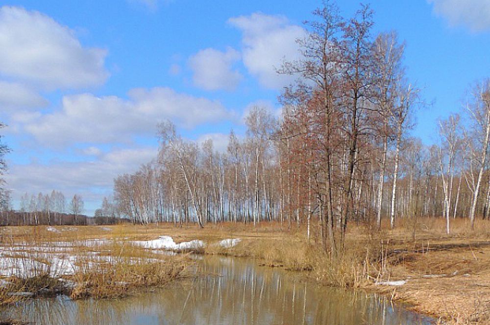 Ясная поляна картинки