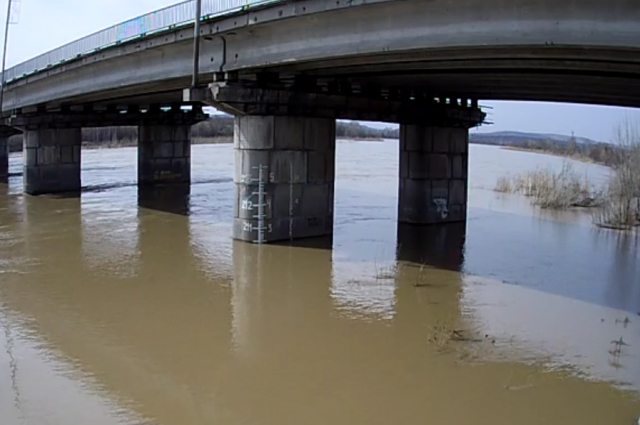 Уровень реки Кондома в Осинниках.