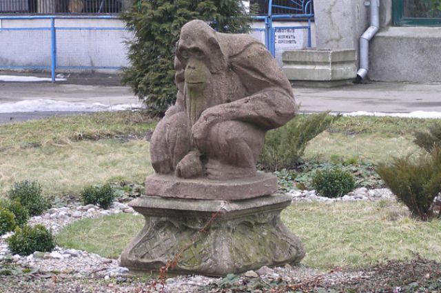 Зоопарк Калининграда вернула на место кенигсбергскую статую орангутана.