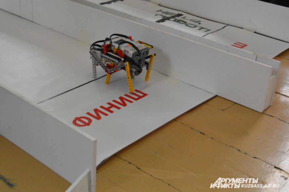 На соревнованиях роботы показывают разные «навыки», к примеру, этот должен был без помех дойти до финиша как можно быстрее.