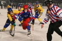 В Новосибирске построят большую спортивную арену