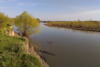 Река Алей, вытекающая из Гилёвского водохранилища, пока полноводна. Но уже в районе Рубцовска она не столь широка, как прежде.