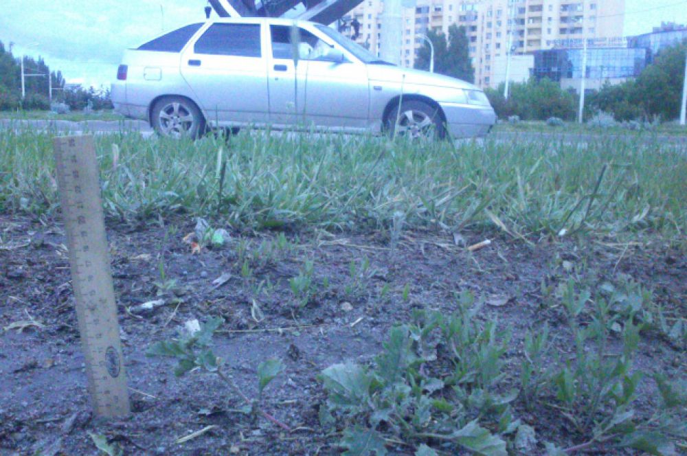 13 мая. На повороте в сторону пр. Курчатова грязи меньше - всего 7 сантиметров,..