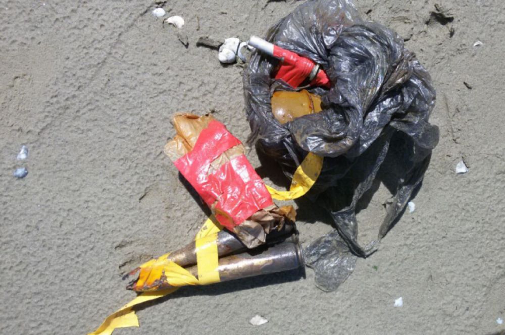 Выяснилось, что собака нашла в воде гранату РГД-5, взрыватели к ней и патроны. Всё находилось в боевом состоянии.