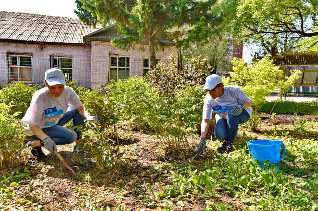 За два года волонтёры высадили свыше 1500 деревьев и кустарников.