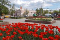 Летом Ульяновск расцветает