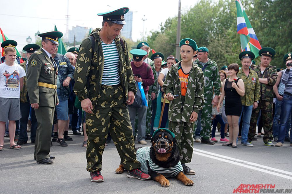 Впереди колонны (конечно, перед бронетранспортёром) следовал пёс-пограничник.