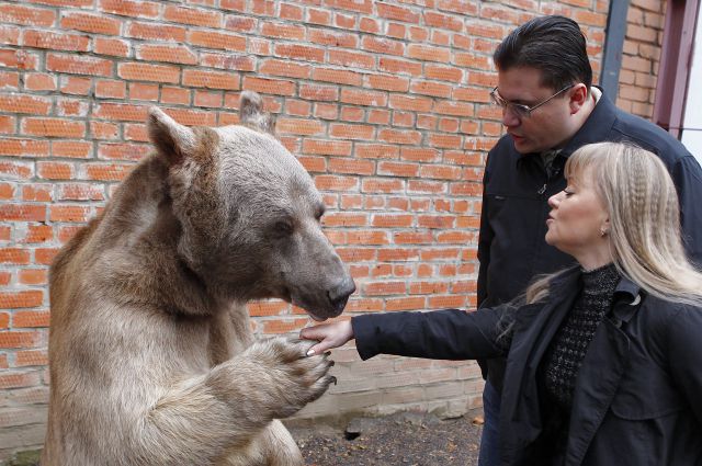 Медведь Степа и его воспитатели Светлана и Юрий Пантелеенко.