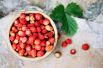 Земляника. В конце июня в средней полосе России поспевает самая ароматная дикая ягода – лесная земляника. Она сладкая, пахучая, необычайно вкусная.