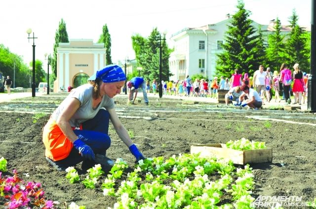 Наряжаемся в бегонию: в Омске продолжаются работы по озеленению улиц