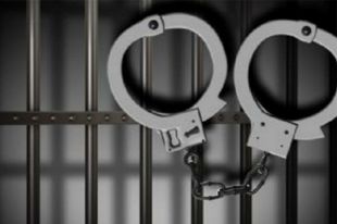Правоохранители задержали злоумышленника. Ему грозит тюремный ст