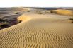 Каракумы — песчаная пустыня на юге Средней Азии, покрывающая большую часть Туркмении.