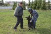 Все собаки разные по характеру и темпераменту, но все они, так или иначе, привязаны к своему кинологу.