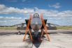 МиГ-31 - двухместный сверхзвуковой всепогодный истребитель-перехватчик дальнего радиуса действия.