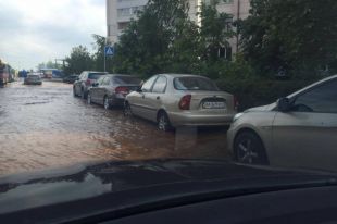 Позняки