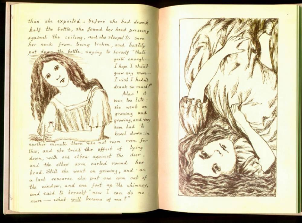 Исторически первым иллюстратором книги был сам Кэрролл. Первую рукопись «Приключения Алисы под землёй» (1864) он снабдил 38 собственными рисунками.