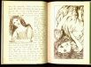 Исторически первым иллюстратором книги был сам Кэрролл. Первую рукопись «Приключения Алисы под землёй» (1864) он снабдил 38 собственными рисунками. 