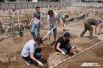 В археологическом субботнике в Калининграде приняли участие около 400 человек.