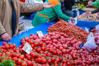 Турки рассчитывают вновь зарабатывать на российских туристах и поставках овощей и фруктов.