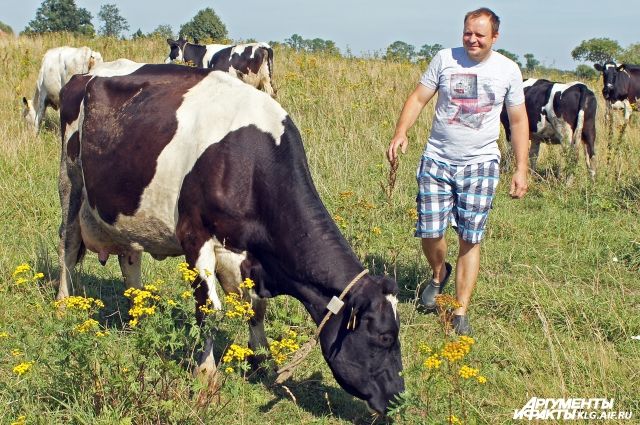 Аграрии Калининградской области впервые отпразднуют День балтийского поля.