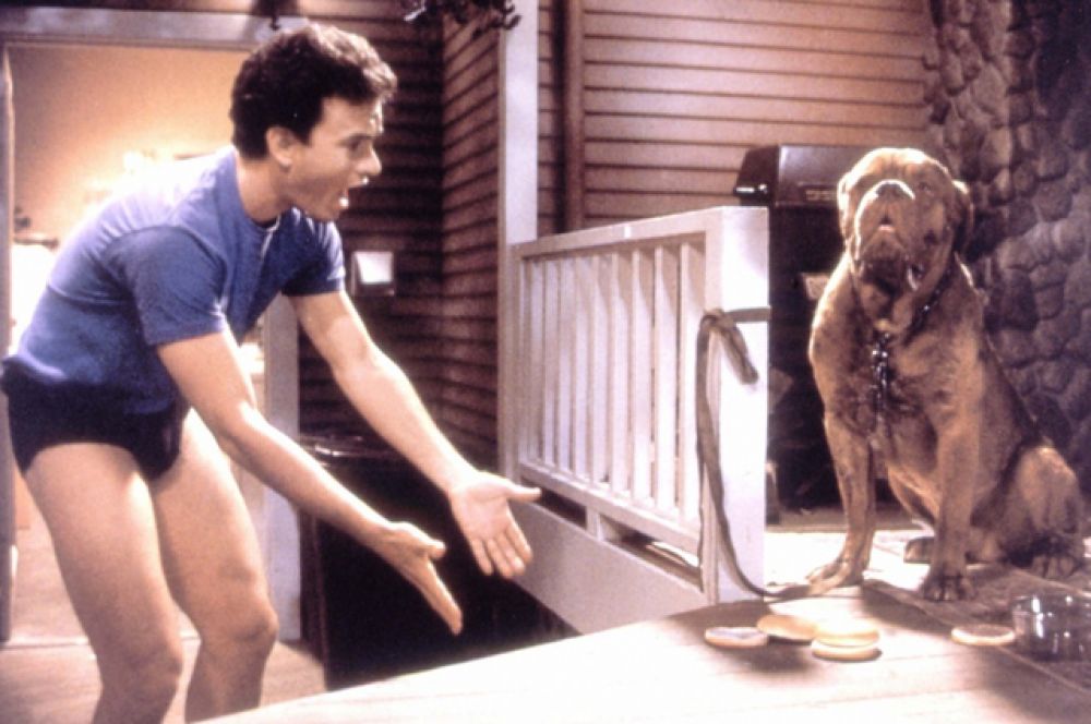 Немалый успех выпал и на долю фильма «Тёрнер и Хуч» (1989), где его партнёром выступил пёс.