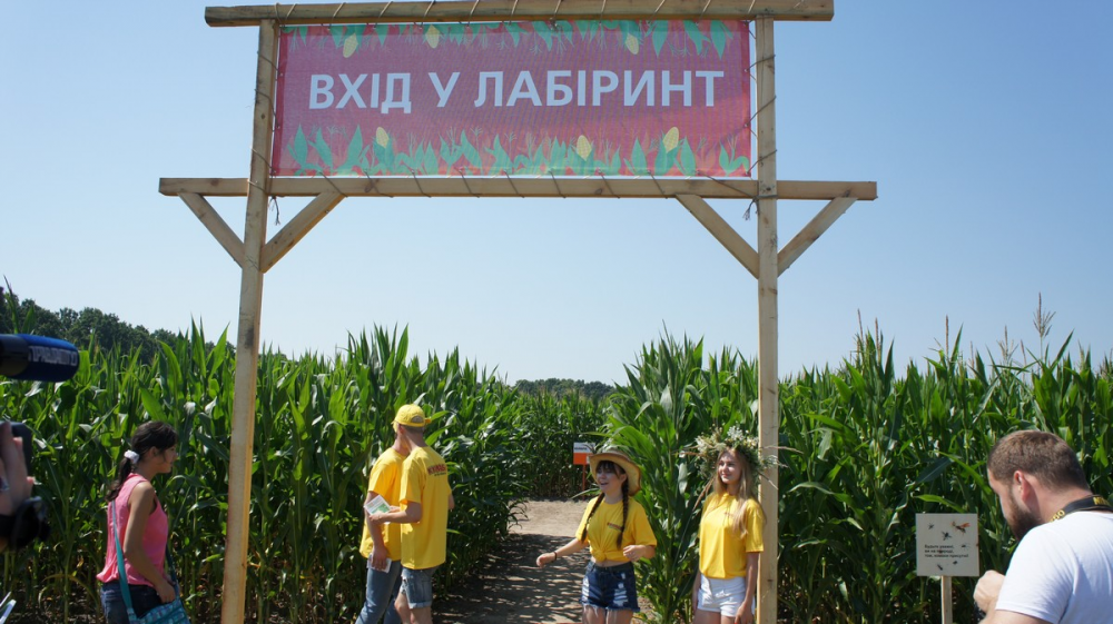 Вот и вход в сам лабиринт