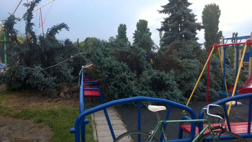 Деревья вырывало даже с корнями