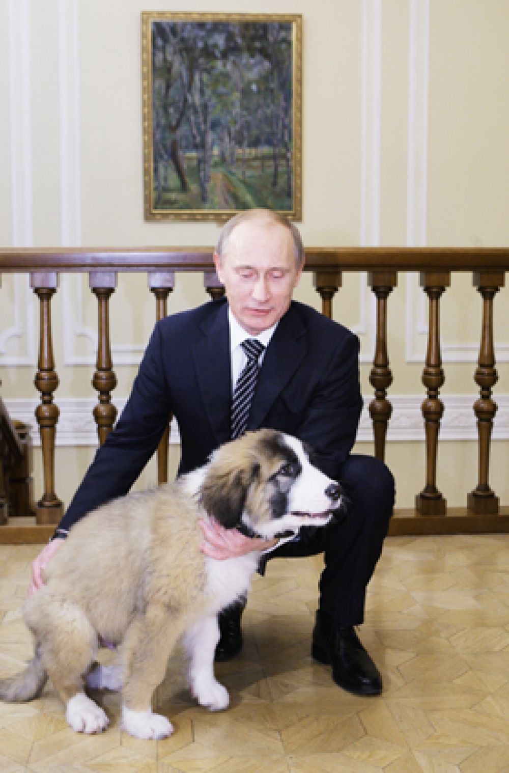 Но Владимир Путин остается заядлым собачником. У него есть болгарская овчарка (каракачанская собака) Баффи, подаренная болгарским премьером Бойко Борисовым в 2010 году. Имя Баффи придумал московский школьник: Владимир Путин тогда попросил россиян помочь ему в этом вопросе.