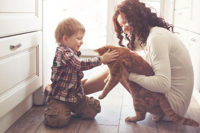 Польза общения детей с животными