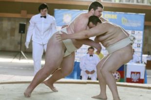 Сумоисты