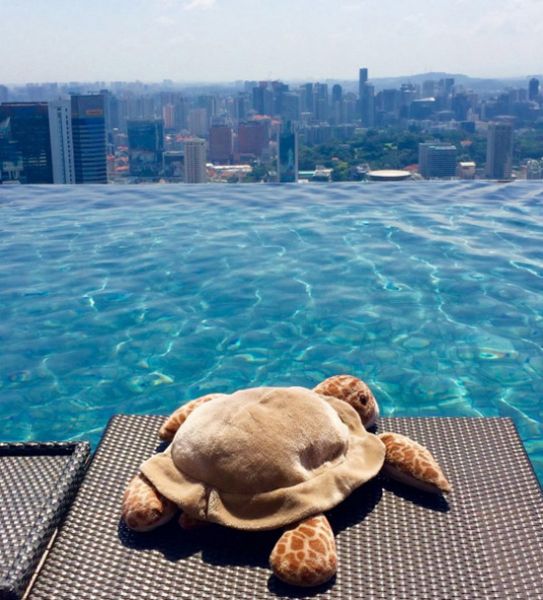 Один из самых популярных бассейнов мира на крыше 57-этажного здания в Сингапуре. Захватывающий вид!