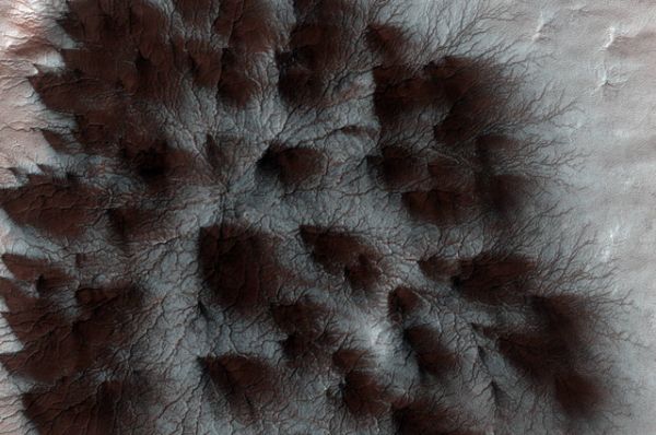 Такие паукообразные узоры образуются на поверхности Марса каждый раз, когда в холодный регион приходит весна.