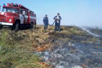 Пожарные тушат огонь на торфянике