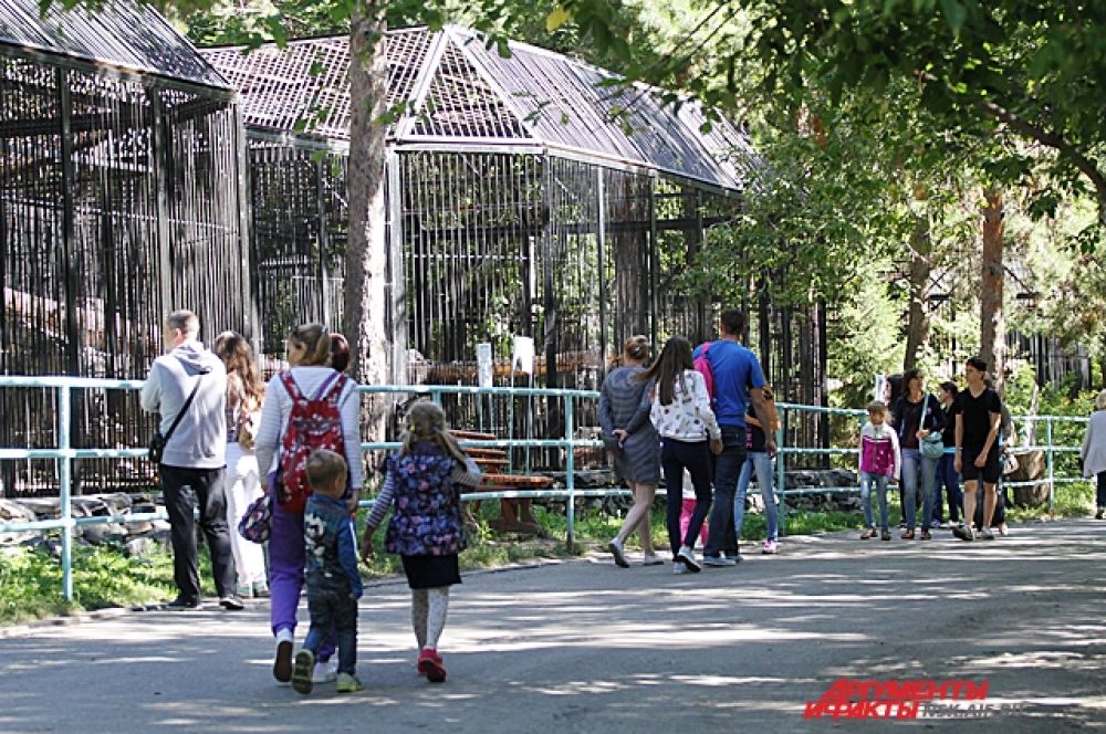 Утром в зоопарке не много гуляющих, но вот желающих посмотреть на новые павильоны пока много.