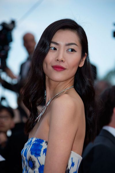 Доход 28-летней китаянки Лю Вэнь, работающей с Estee Lauder, H&M, Mango, Puma, Vidal Sassoon, La Perla составил 7 млн долларов.