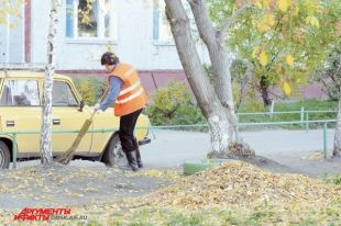 Дворник