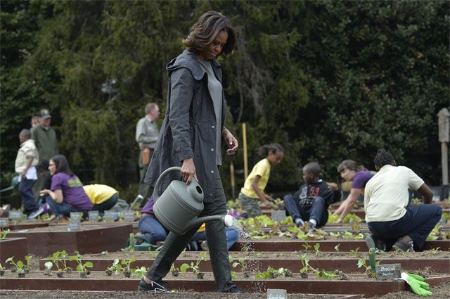 Мишель Обама разбила огород у стен Белого дома.