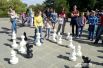 Интеллектуалы сразились в шахматном турнире.