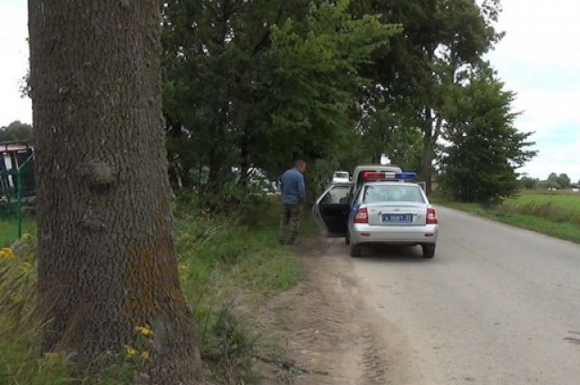 Полиция устанавливает личность мужчины, сбитого «Ауди» на Балтийском шоссе.