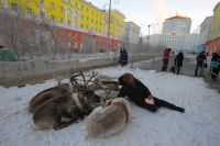 Грузы в Норильск завозят каждый год. 