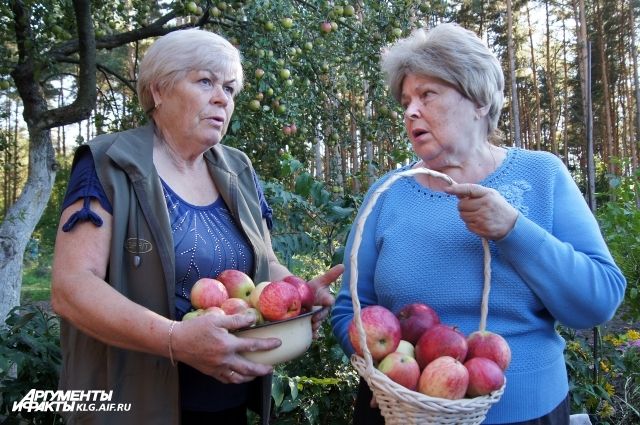 Нина Небосько (справа) жалеет, что часть урожая приходится выкидывать.