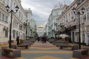 Центр донской столицы лишается зелени.