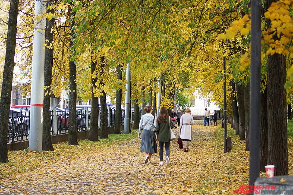 Многие горожане отправились в эти последние тёплые дни на природу. Другие же решили погулять по городу.