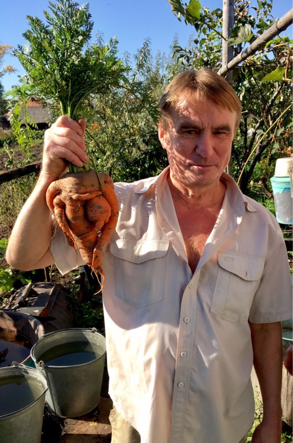 Вот такое чудо-юдо морковное выросло на грядке у Александра и Маргариты Никандровых в селе Калинино