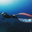 Вот фото с ее подводной охоты