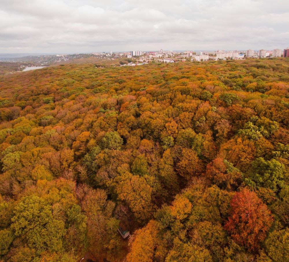 Ставрополь осень