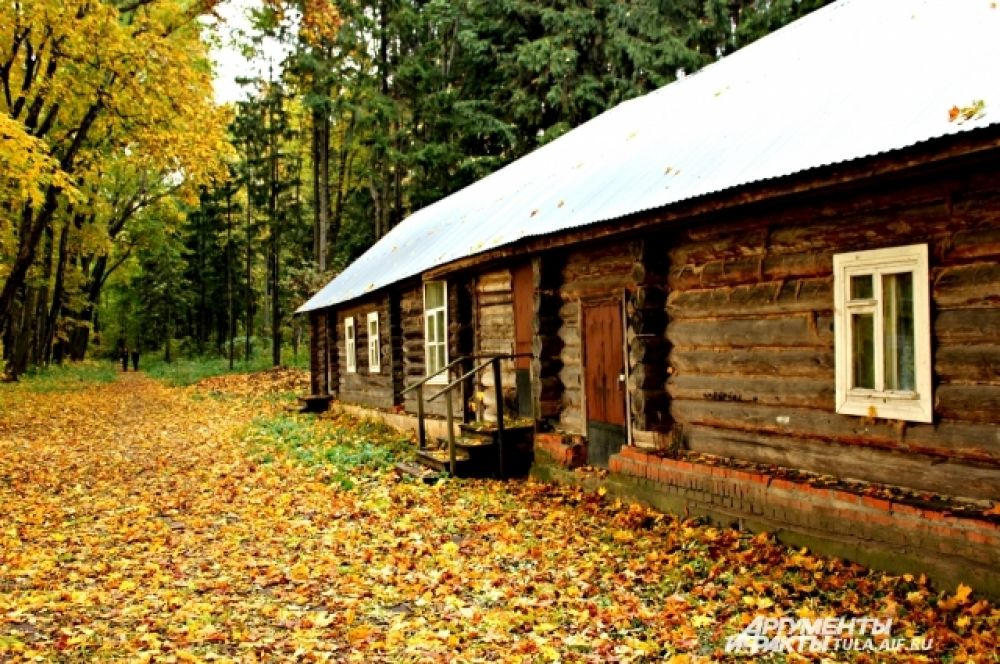 Ясная Поляна в Тульской области красива в любое время года, но особенно осенью, когда природа играет красками.