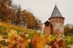 В Смоленске уже всё усыпано желтыми листьями, и жители города спешат запечатлеть яркие пейзажи.