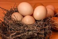 Из обычного яйца можно приготовить сотню необычных и вкусных блюд.